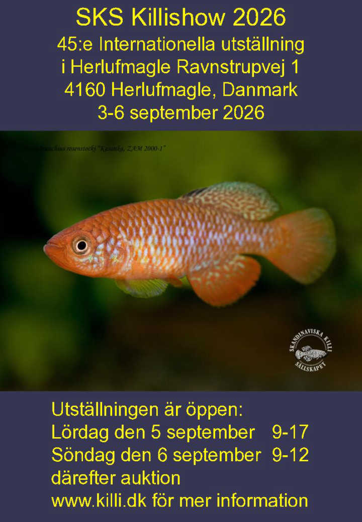 SKS 2024 Poster A4 W DK
